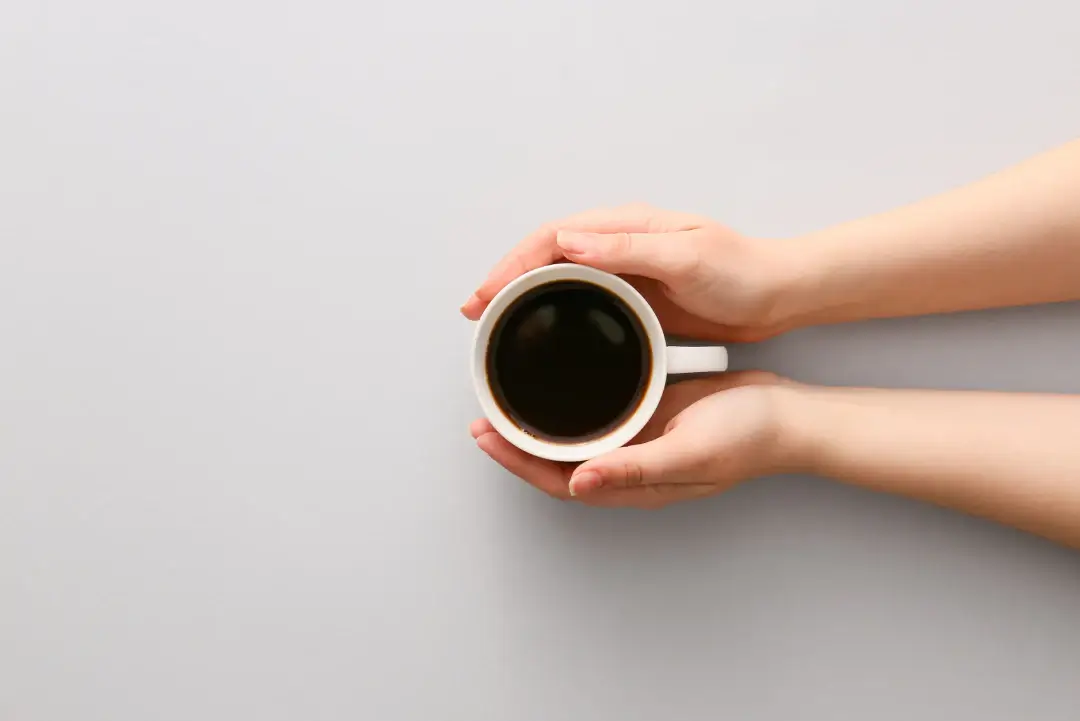 Imagen principal: conocimientos basicos sobre el cafe el cafe un viaje sin fin