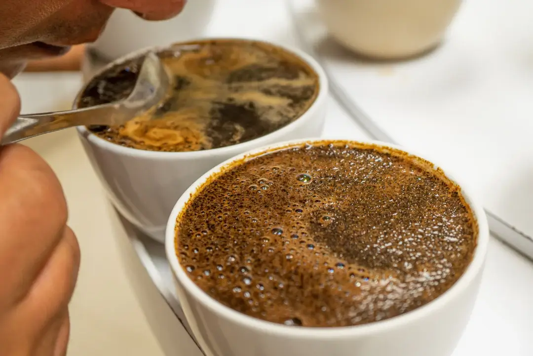 Imagen principal: descubriendo el arte de catar cafe una guia para principiantes