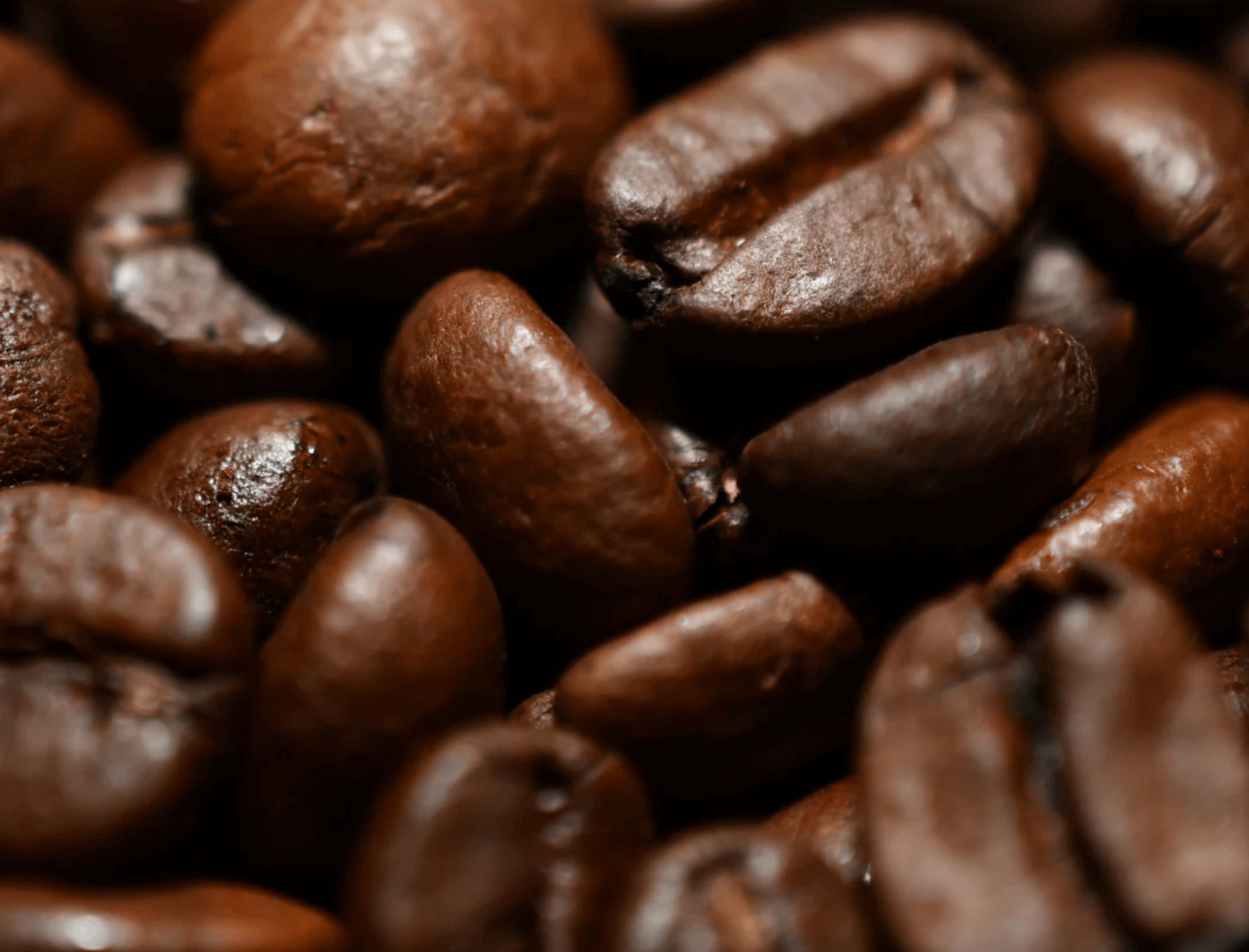 Main image: discover the wonders of medium roast coffee, the perfect balance for your palate