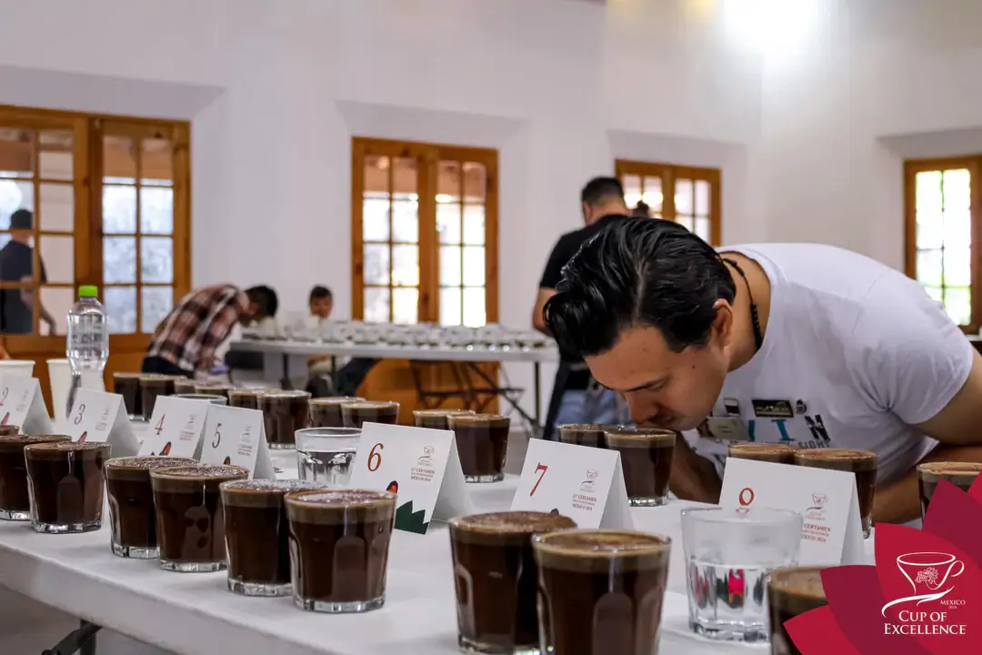 Main image: the Cup of Excellence, a journey to the top of Mexican coffee