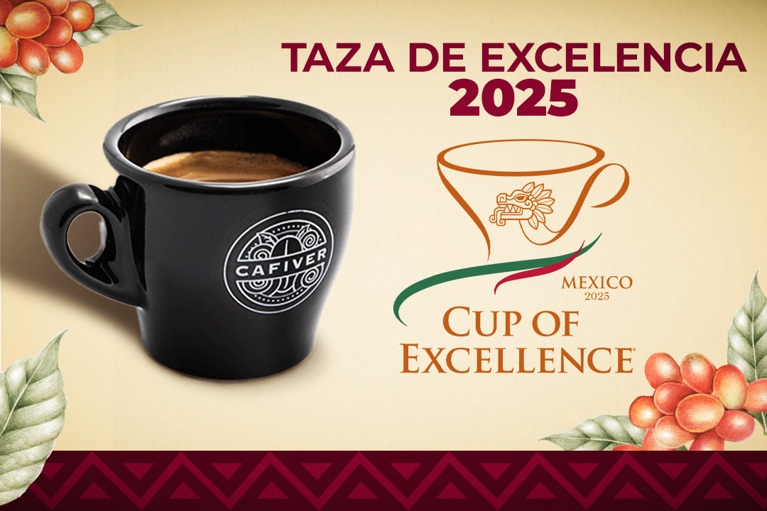 Main image: CAFIVER takes part in the prestigious National Jury of the Cup of Excellence Mexico 2025