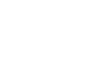 Hecho en Veracruz Hecho en Veracruz